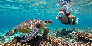 tortue polynésie